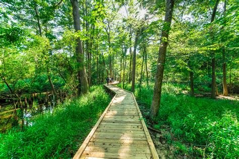 Best Destinations for Nature Walks and Scenic Hikes
