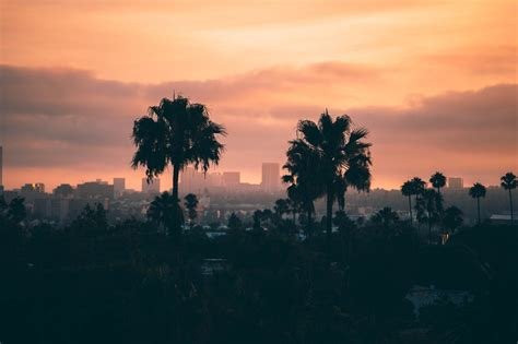 How to Create an Unforgettable Los Angeles Discovery Tour