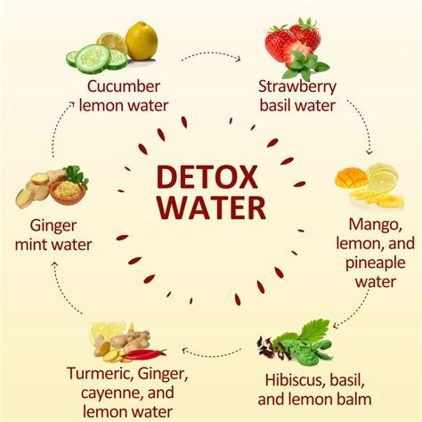 Safe Natural Detox Methods to Cleanse Your Body
