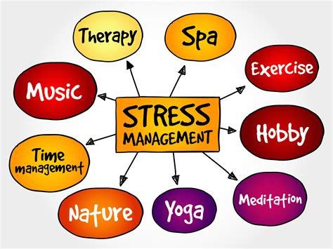 Stress Management for Busy Adults: Mindfulness and Practical Tools