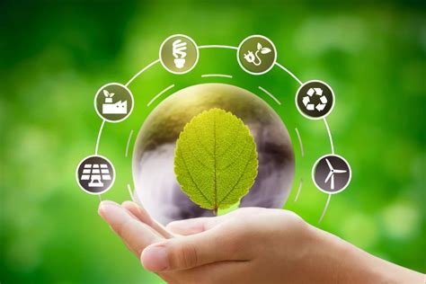 Sustainable Living: Eco-Friendly Tips for a Greener Home